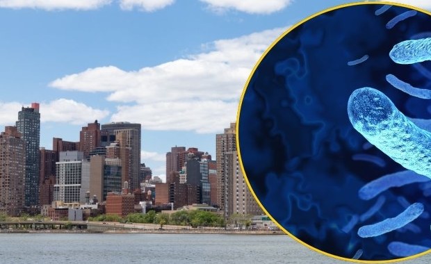 ​Choroba legionistów uśmierciła w Nowym Jorku już 7 osób. Odkryto ognisko