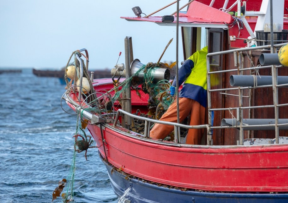 Choroba Zalewu Wiślanego. Służby przekazały ważne informacje