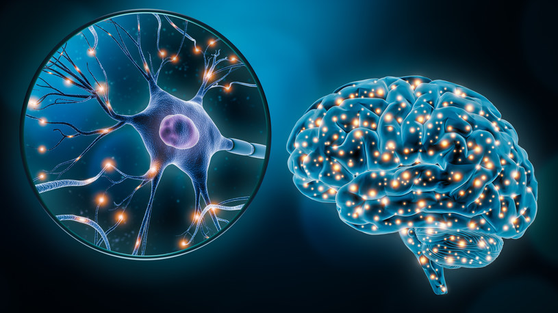 Choroby psychiczne są ze sobą powiązane? Naukowcy odkryli nową sieć połączeń w naszych mózgach /123RF/PICSEL
