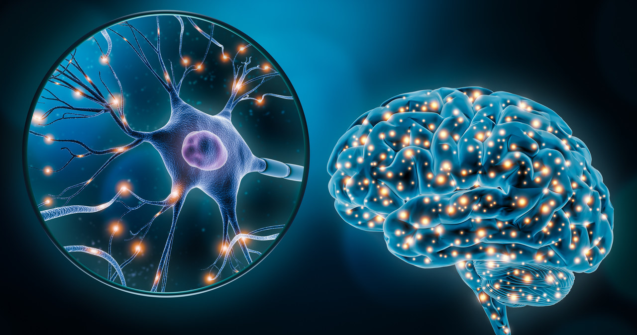 Choroby psychiczne są ze sobą powiązane? Naukowcy odkryli nową sieć połączeń w naszych mózgach /123RF/PICSEL