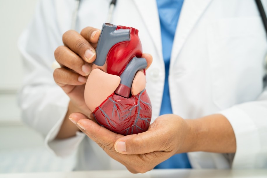 Choroby serca, wywołane wysokim poziomem cholesterolu? Jest szansa na przełom /Shutterstock