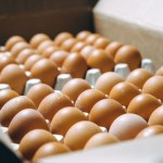 drób Choroby zakaźne drobiu, skala strat jest ogromna. Możliwe wzrosty cen