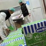 Chorwacja: Główna mleczarnia zawiesza skup mleka z powodu toksyn