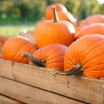 Chroni przed chorobami układu krążenia. Dlaczego jeszcze warto jeść dynię?