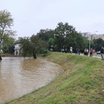 Chroni przed wielką wodą. Jak działa wał przeciwpowodziowy?