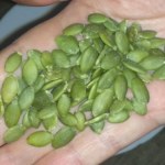 Chrupiąca przekąska, która redukuje stres. Oczyszcza jelita, dba o serce i pomaga lepiej spać 