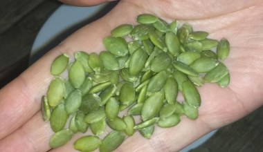 Chrupiąca przekąska, która redukuje stres. Oczyszcza jelita, dba o serce i pomaga lepiej spać 