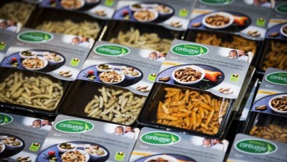 Chrupiące zakąski z owadów na sklepowych półkach