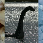 Chupacabra, Nessie, Yeti: Polowanie na tajemnicze potwory