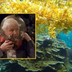 Chwile grozy Davida Attenborough. "Nie możesz nawet krzyknąć"