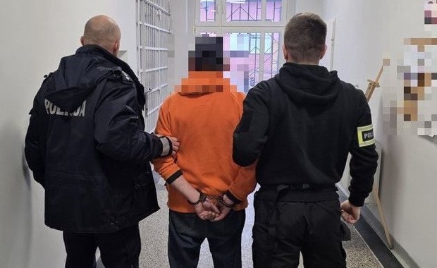 Chwycił dziewczynkę i kazał jej iść ze sobą. Przechodzień powstrzymał porywacza