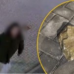 Chwycił za kamień, znieważył policjantkę. Twierdzi, że nic nie pamięta