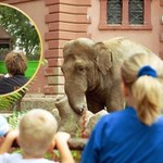 Ciała ładowane na pakę. Film nagrany przez polskie zoo hitem w internecie