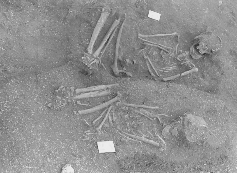 Ciała z Sado - nienaturalna pozycja ciała wskazuje na mumifikację przed złożeniem w grobie /cambridge.org /materiały prasowe