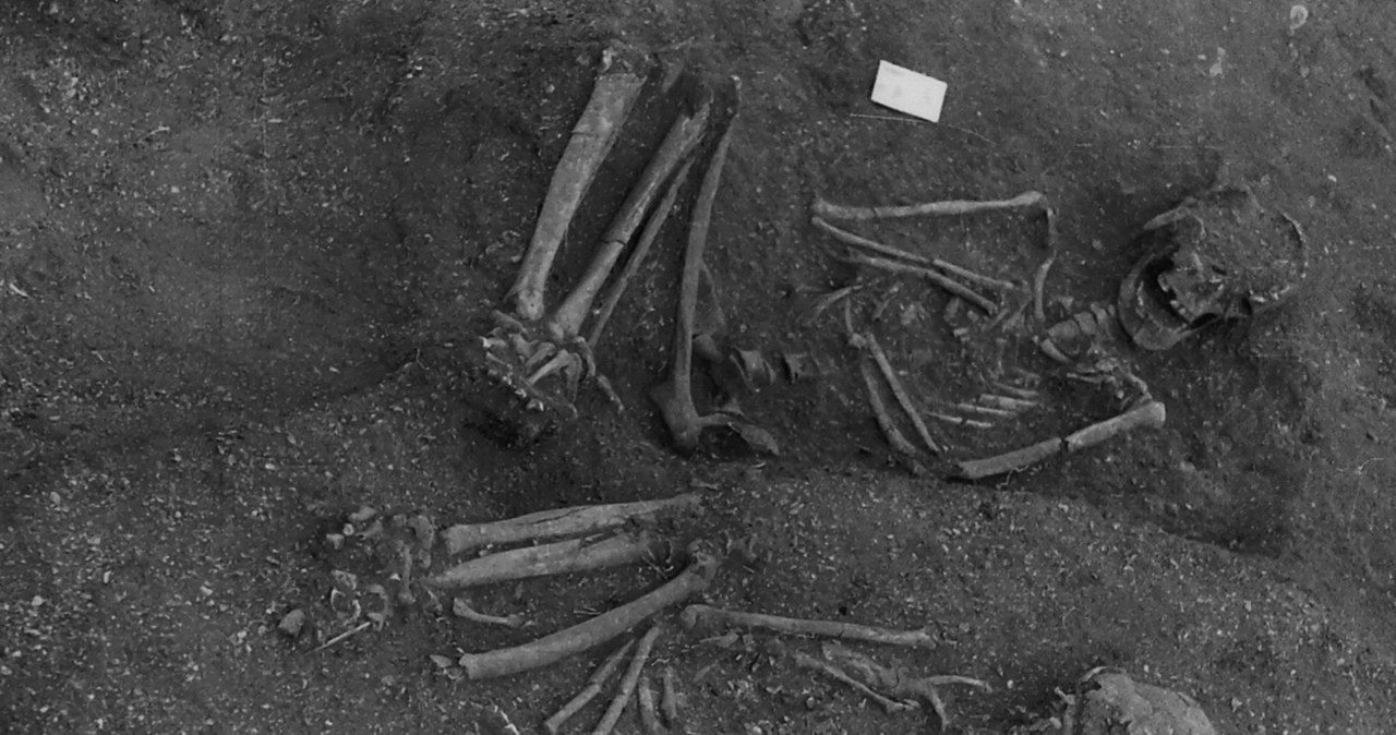 Ciała z Sado - nienaturalna pozycja ciała wskazuje na mumifikację przed złożeniem w grobie /cambridge.org /materiały prasowe