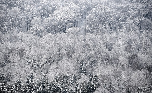 Ciało 49-latka w Beskidach. To turysta, którego szukano od kilku dni