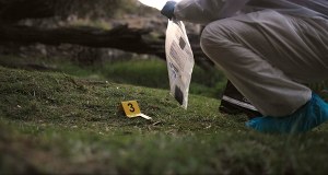 Ciało podrzucone do grobu. Śledczy ustalili już tożsamość