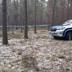 Ciało poszukiwanej 67-latki znalezione w lesie. Zięć przyznał się do zabójstwa