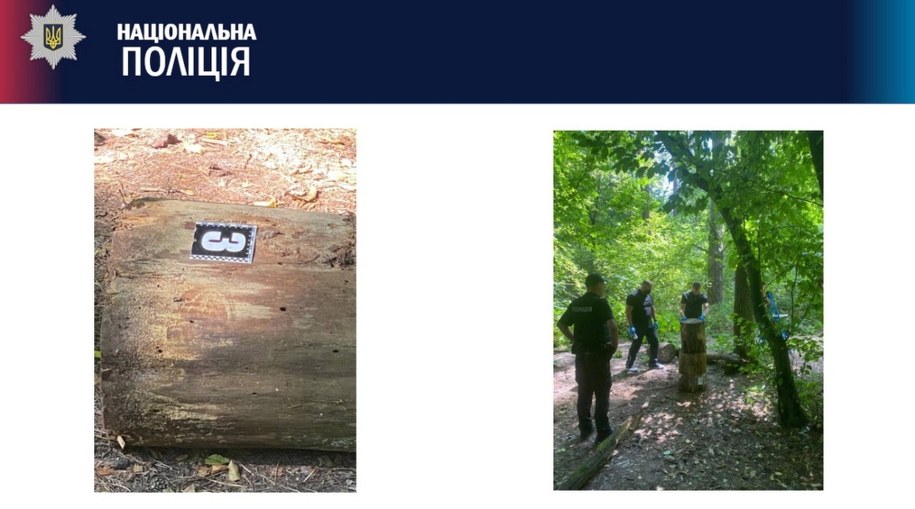 Ciało Szyszoua zostało znalezione rano w parku w Kijowie /NATIONAL POLICE OF UKRAINE HANDOUT /PAP/EPA
