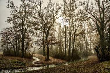 Ciało zakopane w lesie, na szyi zaciśnięty pasek. Makabryczne informacje nt. zabójstwa 16-letniej Anny