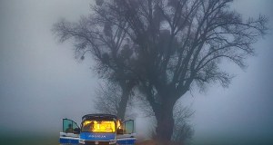 ​Ciało żołnierza odnalezione na bagnach