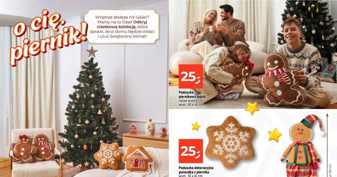 Ciastkowa kolekcja do domu w Dealz /Dealz /INTERIA.PL