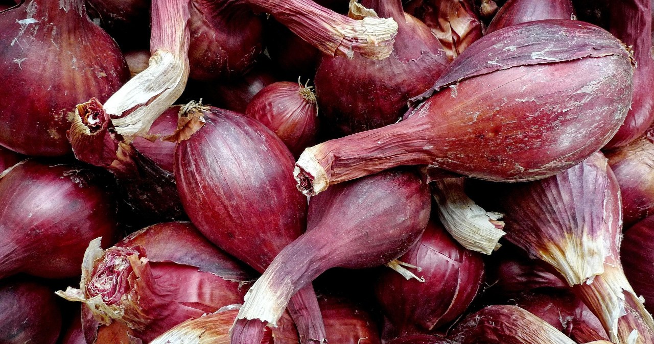 Цибуля шалот ідеально впливає на травлення /pixabay.com