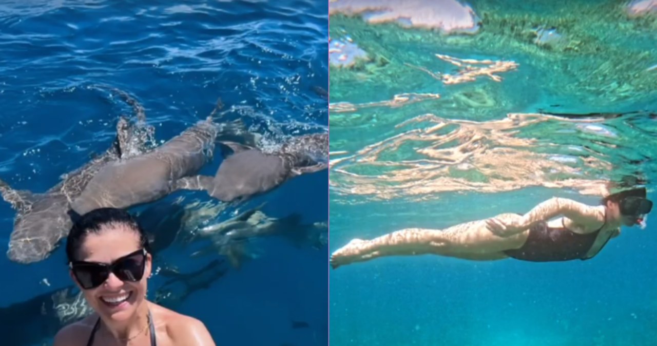 Cichopek pływa z rekinami na Malediwach /@katarzynacichopek /Instagram
