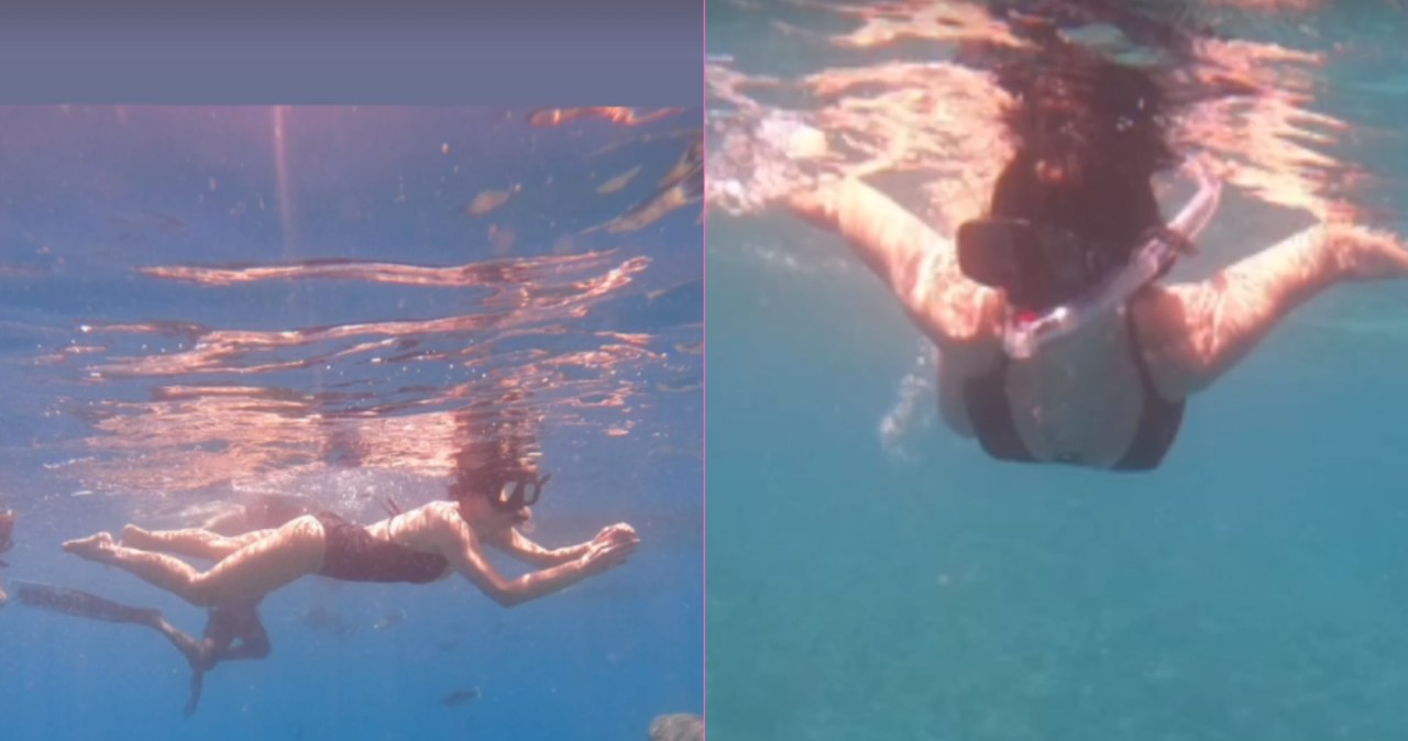 Cichopek pływa z rekinami /@katarzynacichopek /Instagram