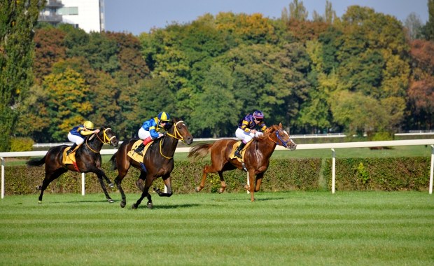 Ciemna strona najważniejszej gonitwy w Polsce. "Wielka Warszawska" wkracza do kin z mocną historią