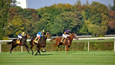 Ciemna strona najważniejszej gonitwy w Polsce. "Wielka Warszawska" wkracza do kin z mocną historią