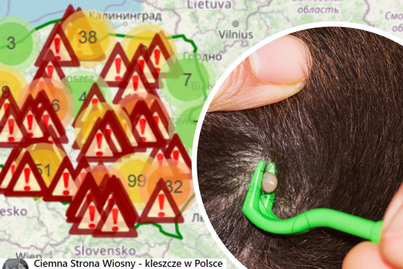 Ciemna Strona Wiosny prowadzi interaktywną mapę kleszczy w Polsce /Facebook - Ciemna Strona Wiosny. Mapal kleszczy w Polsce /123RF/PICSEL