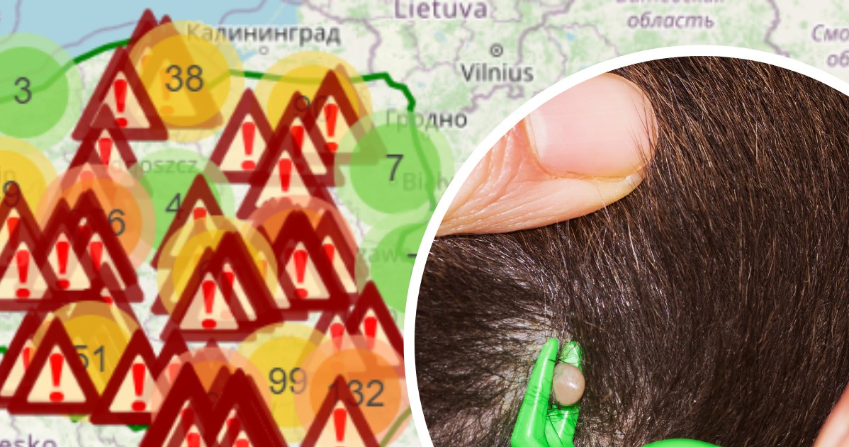 Ciemna Strona Wiosny prowadzi interaktywną mapę kleszczy w Polsce /Facebook - Ciemna Strona Wiosny. Mapal kleszczy w Polsce /123RF/PICSEL