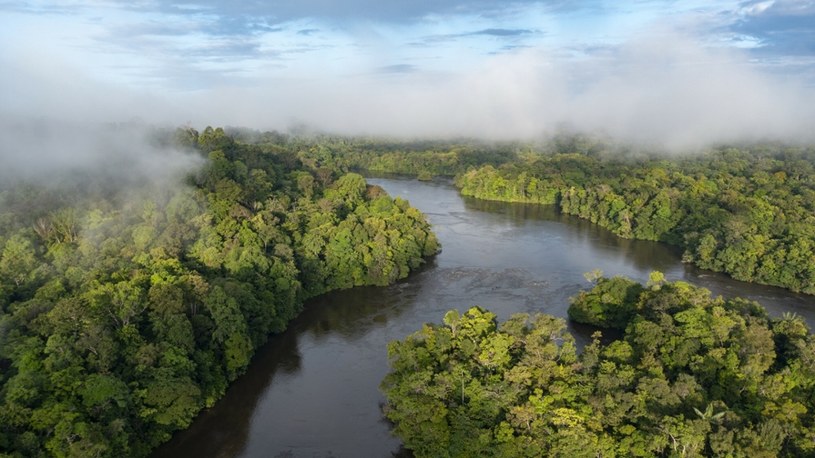 Ciemne chmury zbierają się nad Amazonią /VINCENT PREMEL / Biosphoto /East News