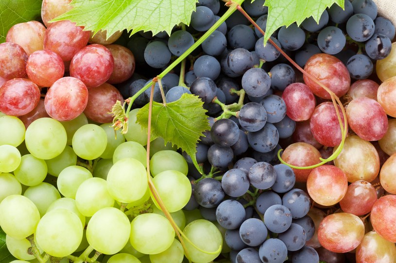 Ciemne i jasne winogrona różnią się nie tylko wyglądem /123RF/PICSEL