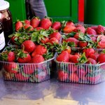 Cieszą się, gdy widzą greckie truskawki. Polscy plantatorzy sporo zyskają