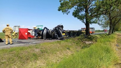 Ciężarówka uderzyła w drzewo, kierowca zginął na miejscu