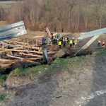Ciężarówka z drewnem przebiła bariery i spadła ze skarpy