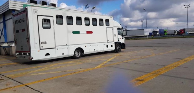 Ciężarówka z tygrysami w Koroszczynie; zdj. z Gorącej Linii RMF FM /RMF FM