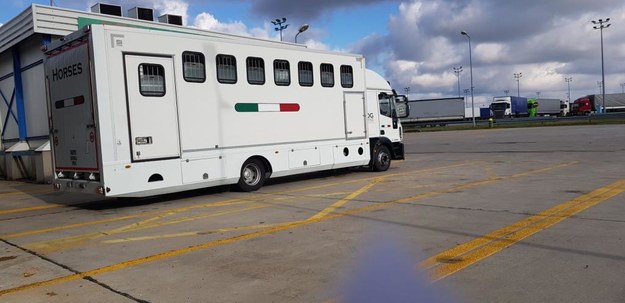 Ciężarówka z tygrysami w Koroszczynie /foto. Gorąca Linia RMF  FM /
