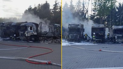 Ciężarówki stanęły w ogniu blisko stacji paliw. O krok od tragedii w Łódzkiem