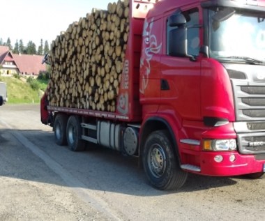 Ciężarówki z drewnem to potężne zagrożenie!