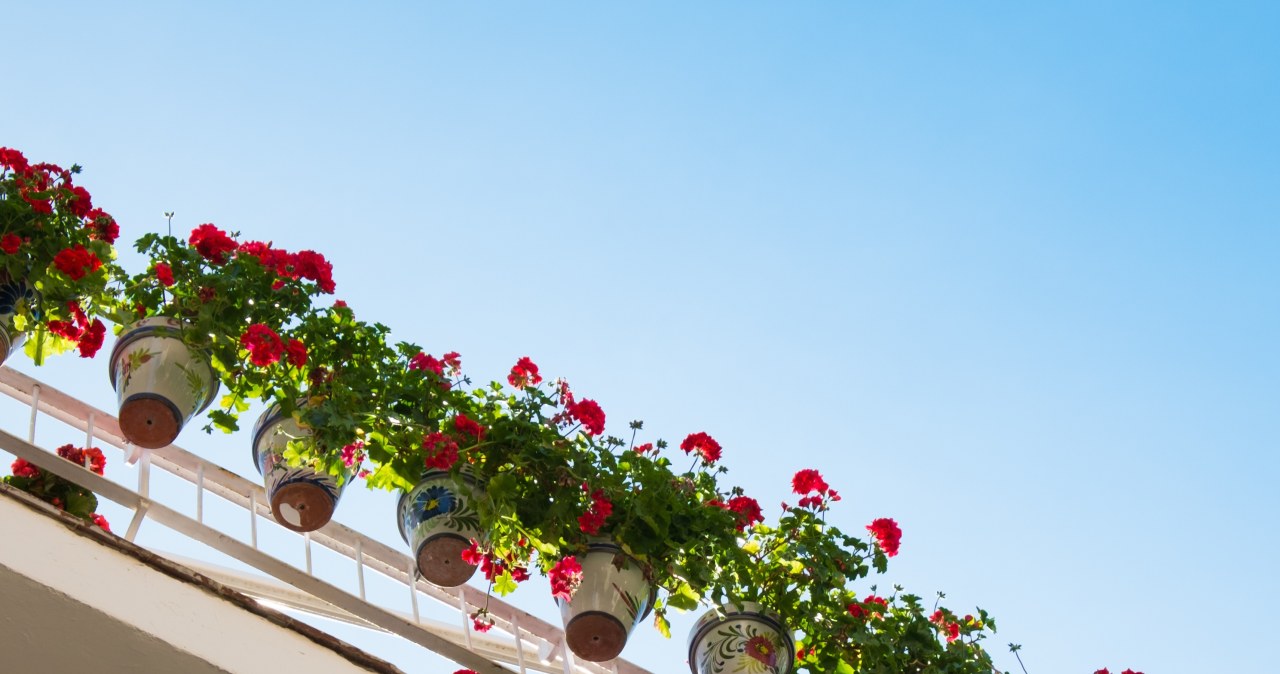 Ciężkie doniczki wiszące na balkonie? Uważajmy, aby się to źle nie skończyło.