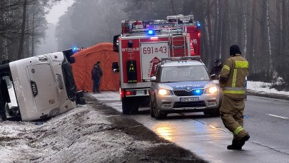 Ciężko ranni po wypadku na Mazowszu. Przed autobus wyskoczył jeleń
