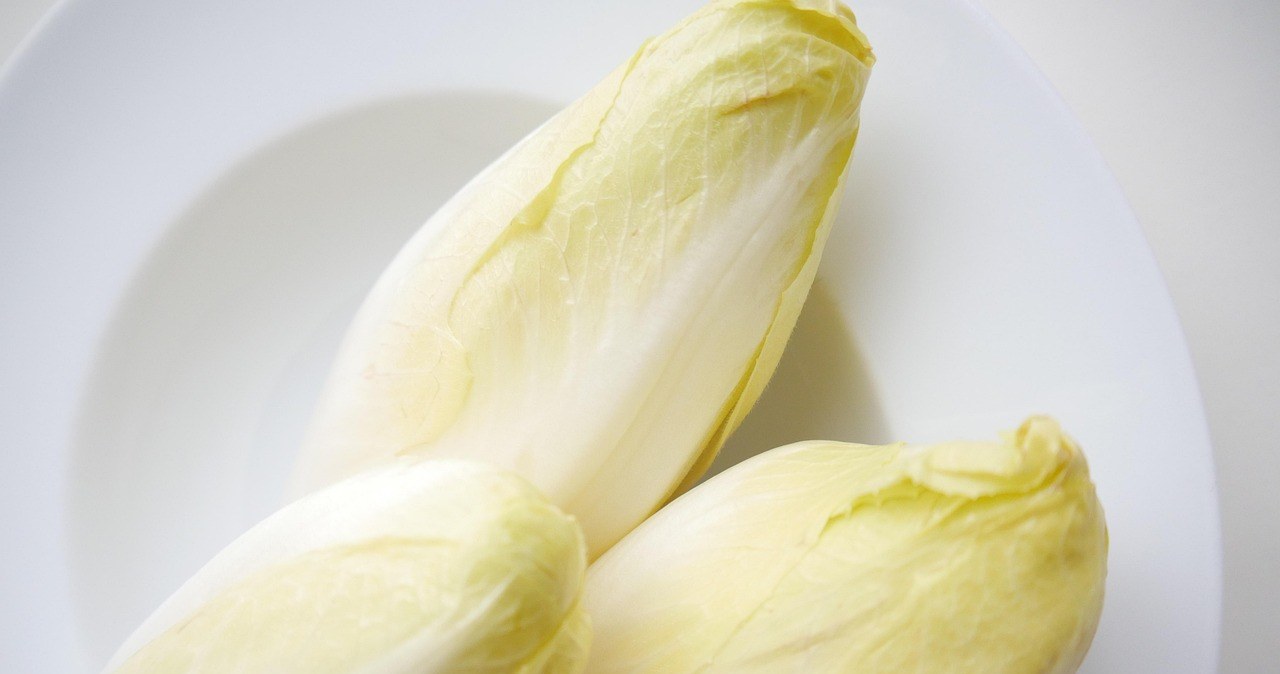 Цикорій - дуже корисний овоч, що з нього приготувати? /pixabay.com