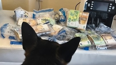 Cios w czarny rynek papierosów. Towar liczony w milionach