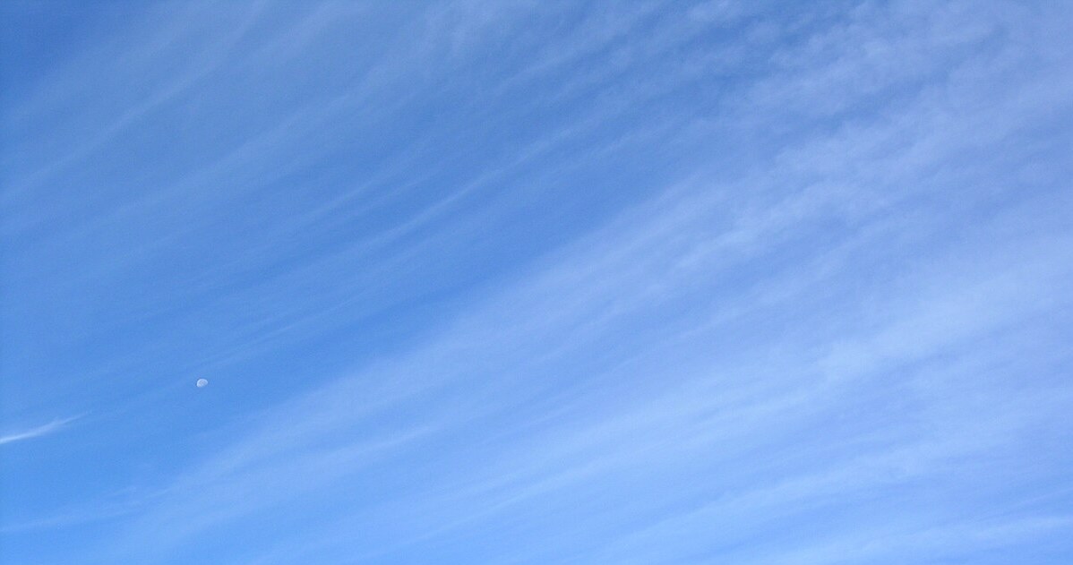 Cirrus /Simon Eugster/CC BY-SA 3.0 DEED (https://creativecommons.org/licenses/by-sa/3.0/deed.en) /Wikimedia