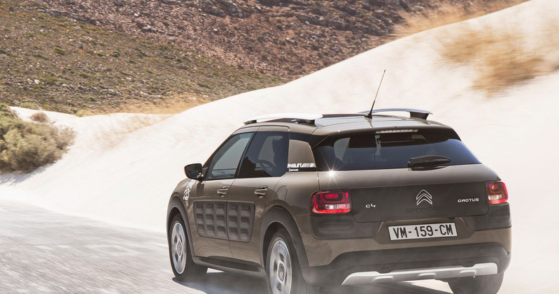 Citroen C4 Cactus Rip Curl Edition /Informacja prasowa