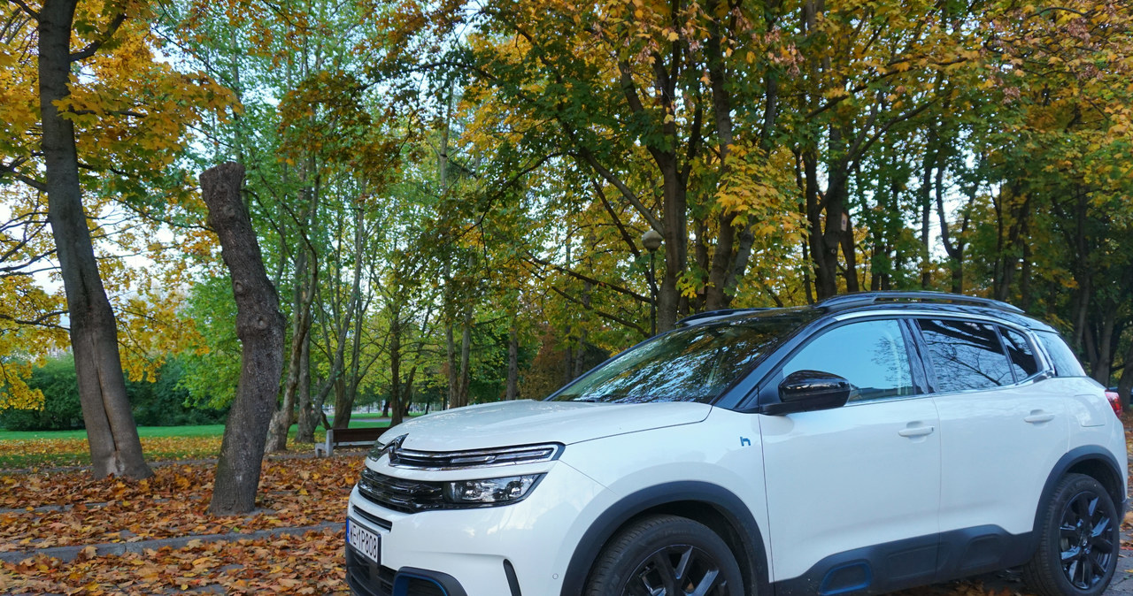 Citroen C5 Aircross Hybrid /INTERIA.PL