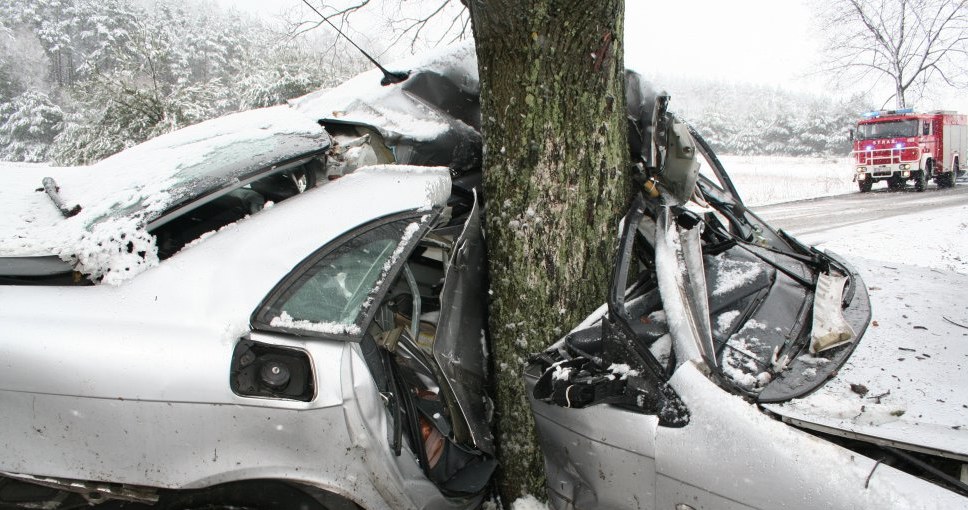 Citroen C5 bokiem uderzył w drzewo /Policja